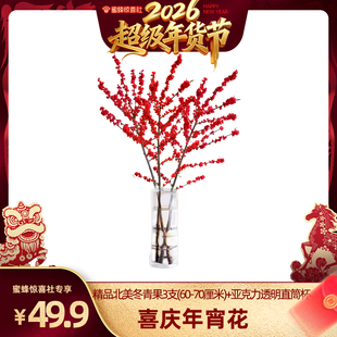 【超级年货节】北美冬青红果鲜切花真花过年鲜花插花发财果年宵花