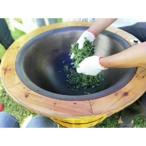 烘温控炒锅制茶加电工机器杀青焙加机铸铁茶叶家用厚炒茶小型