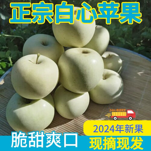 新鲜水果当季山东正宗黄金奶油苹果白富士儿童孕妇时令苹果一整箱
