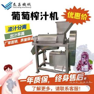 商用葡萄螺旋榨汁机大型蒲桃果汁加工设备阳光玫瑰果汁生产机器