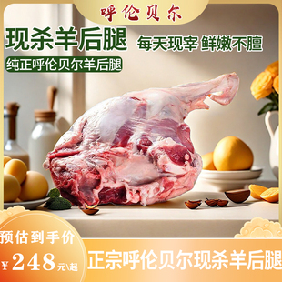 呼伦贝尔本地现杀羊后腿新鲜肉整只羔羊肉5斤羊排烤羊腿烧烤冷冻