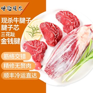 呼伦贝尔现杀牛腱子新鲜南屯牛肉5斤生鲜食材健身牛腿肉冷冻商用
