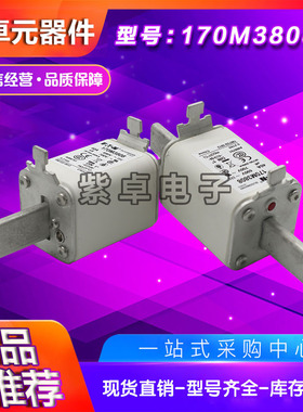 170M3763 170M3764 170M3765 170M3766 170M3767伊顿巴斯曼熔断器