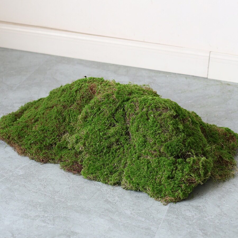 青苔室内软装绿植造景橱窗花园假苔藓微景观永生植物布景摆件
