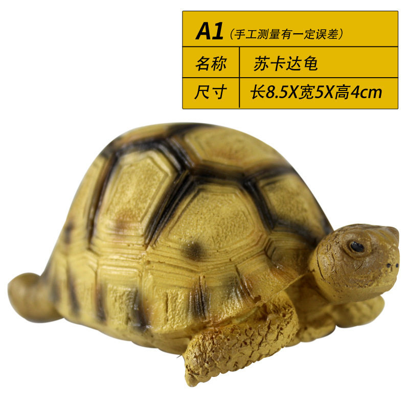A1仿真动物宠物爬宠箱雨林缸龟陆龟模型用品树脂装饰品摆件造景