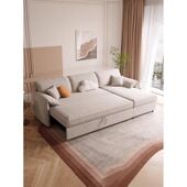 DY878网红ins风科技布沙发床坐卧两用折叠多功能客厅可收纳贵妃梳