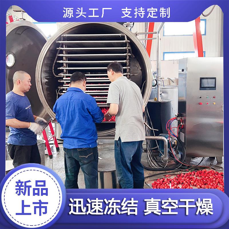 桑葚草莓芒果冻干机 全自动真空冻干机设备 鸡胸肉颗粒真空冻干机