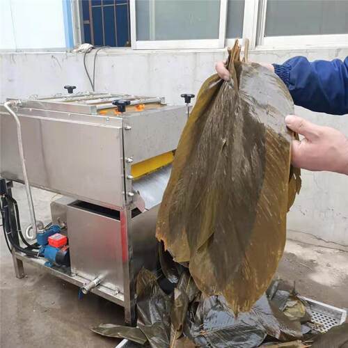 广东端午桂竹粽叶清QAP南洗机 喷淋水循 方粽叶箬环竹叶粑清洗机