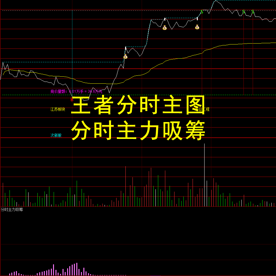 王者分时+主力吸筹指标套装通达信做T买卖点股票主力资金筹码监控