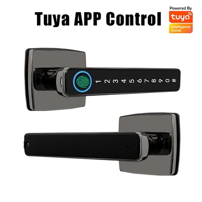 Fingerprint Skmart Door Lock with Handle 4 in 1 Keyless Entr