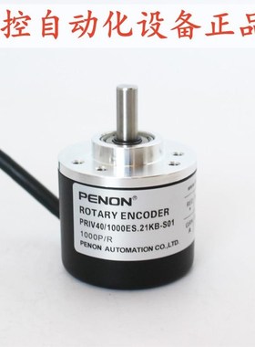 PENONPRIV40/1000ESp.21KB-S01/2000AR.11RB-1.5M/2000ES.11IB