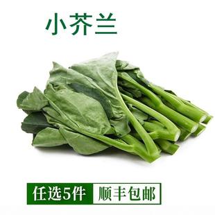 新鲜小芥兰500g中花广东芥兰菜心蔬菜白灼 甜芥兰苗仔食用芥兰苔