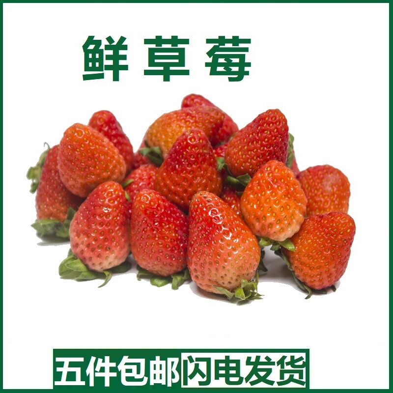 新鲜商用草莓双流夏草莓烘焙奶茶蛋糕商用果酱糖葫芦烘焙蛋糕装饰
