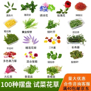 新鲜西餐摆盘花草装 饰叶子点缀蛋糕烘培甜品冰粉三色堇薄荷清香木