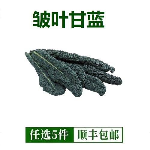 新鲜黑宝石羽衣甘蓝皱叶甘蓝皱叶菜生吃榨汁蔬菜沙拉摆盘菜500g
