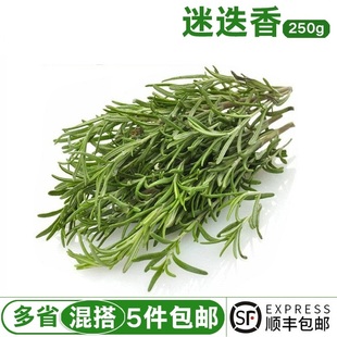 迷迭香新鲜食用马丽草香料菜西餐牛排烧烤法餐烘焙调料调味250g