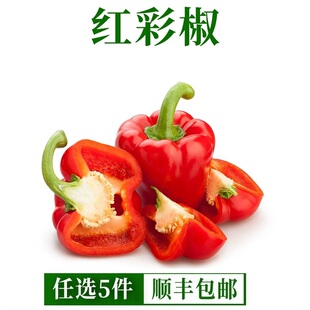 红彩椒新鲜红圆椒沙拉蔬菜食材甜椒太空椒水果椒生吃灯笼椒柿子椒