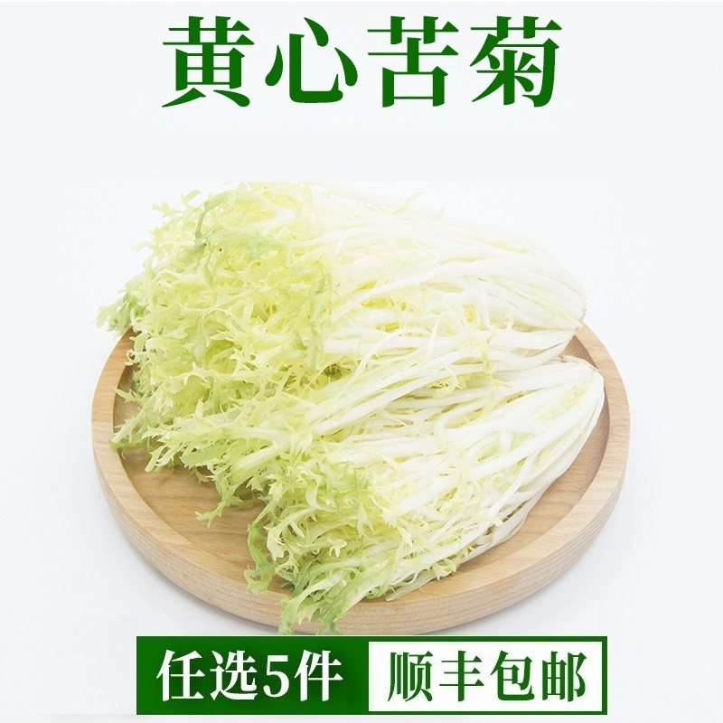 黄心苦菊新鲜蔬菜苦菊蔬菜沙拉西餐食材健身轻食蔬菜沙拉500g九芽,水产肉类/新鲜蔬果/熟食,其它,淘宝优惠券,粉丝福利购,淘宝优惠卷