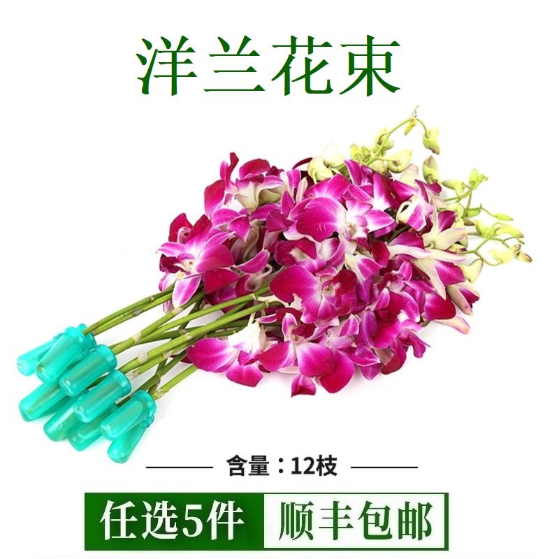 新鲜杨兰花束1束12支 酒店西餐摆盘装饰材料 泰国洋兰花朵石斛兰,鲜花速递/花卉仿真/绿植园艺,花材,淘宝优惠券,粉丝福利购,淘宝优惠卷