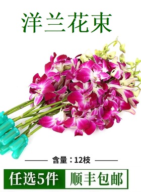 新鲜杨兰花束1束12支 酒店西餐摆盘装饰材料 泰国洋兰花朵石斛兰