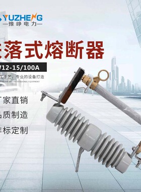 RW12-12/100 HPRW12-12/200高压保护熔断器 RW12-12/100A 212kV