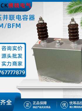 高压并联电力电容器BFM11-100-3W户外补偿BAM6.3/6.6/11/12√3-1W
