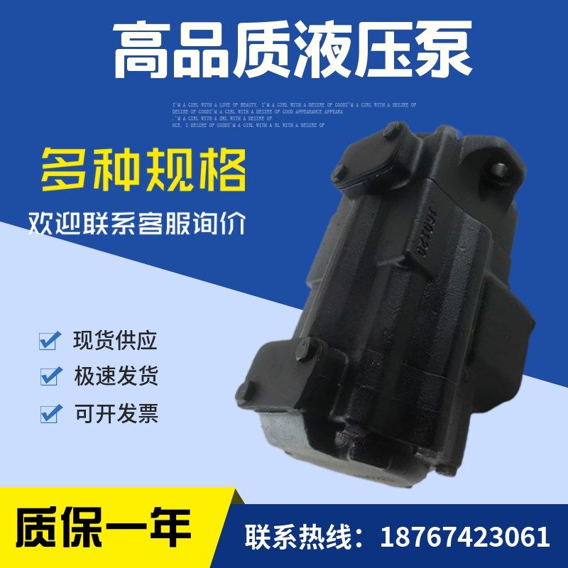 派克法国丹尼逊DENISON液压双联T6EC-062-028-3R00-C1X-MO叶片油