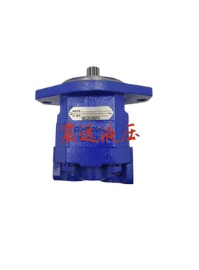 P124A085A0ZA10-54 采煤机液压O泵 齿轮油泵 调高泵