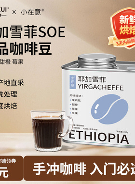 鹿家嘴小在意埃塞俄比亚耶加雪菲G1手冲咖啡豆精品新鲜烘焙浅烘