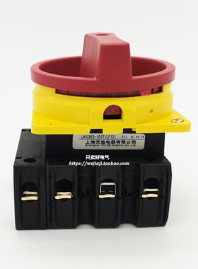 上海天逸通断开关LW42B63-1017/LF1I01 三相四线63A万转转换开关