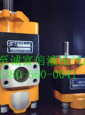 合肥赛源液压CBHY-G25/F3.5-ATL双联齿轮油泵1T3齿花键轴堆高机