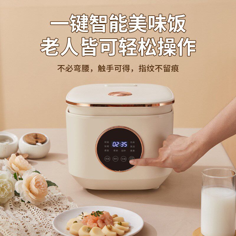 110v美规电饭锅迷你小功率多功能学生宿舍电饭煲Q1-2人煲汤煮粥锅