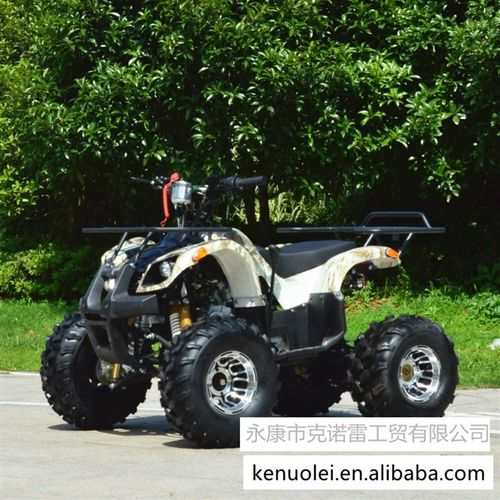 110CCd汽油沙滩车 成人越野车 越野车 atv 全地形车 ATV