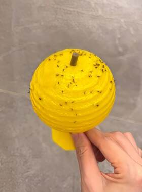 【捕捉神器】厕所飞虫诱果