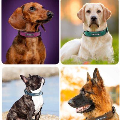 宠物狗狗项圈哈士奇犬金毛脖套狗圈颈圈法斗狗牌身份牌定制可调节