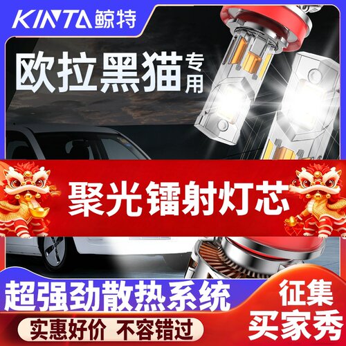 鲸特欧拉黑猫白猫专用led大灯