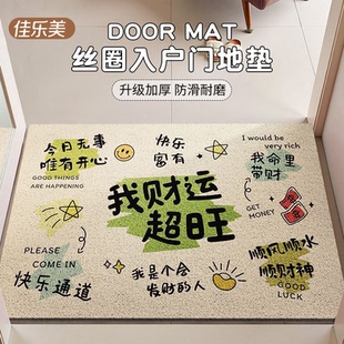 加厚丝圈入户门地垫玄关门厅除尘蹭土脚垫家用进门口耐磨防滑地毯