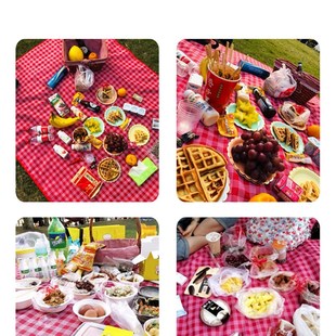 Blanket Pad Camping Beach Picnic 极速Outdoor Plaid Thickeno