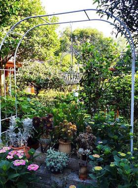 极速拱门花爬架月k季爬藤架蔷藤05836薇庭院艺攀爬架葡萄植物镀锌