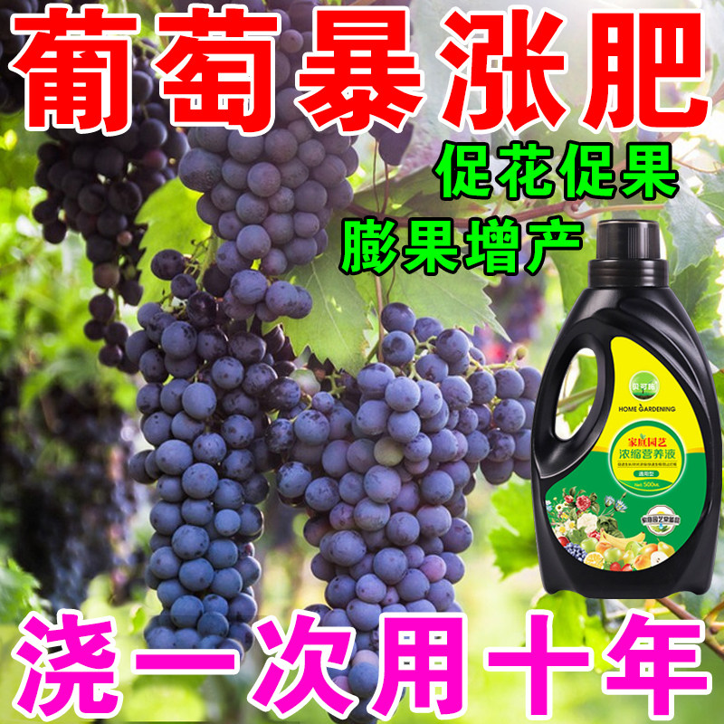 极速葡萄树专用肥料果树营养液促生根H壮苗剂增甜催化膨果药水果,鲜花速递/花卉仿真/绿植园艺,家庭园艺肥料,淘宝优惠券,粉丝福利购,淘宝优惠卷