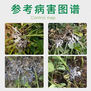 极速(2套起包邮)施维舒防治花生根M腐病白绢病组合叶面肥