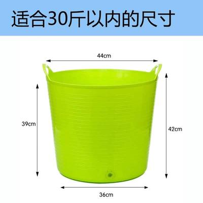 极速dog8004 bath palcaret  bath tub pt spa bath tub cool bat