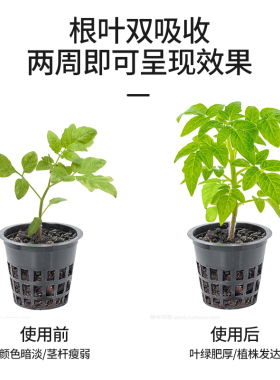 极速蔬菜肥料营养液专用果蔬瓜果盆C栽阳台种菜有机肥家用花肥料