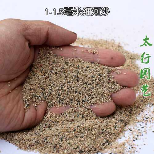 极速Natural coarse river sand wAith coarse sand soil particl