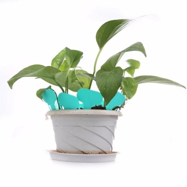 极速100Pcs Plastic T-type Garden Tags OJrnaments Plant Flowe
