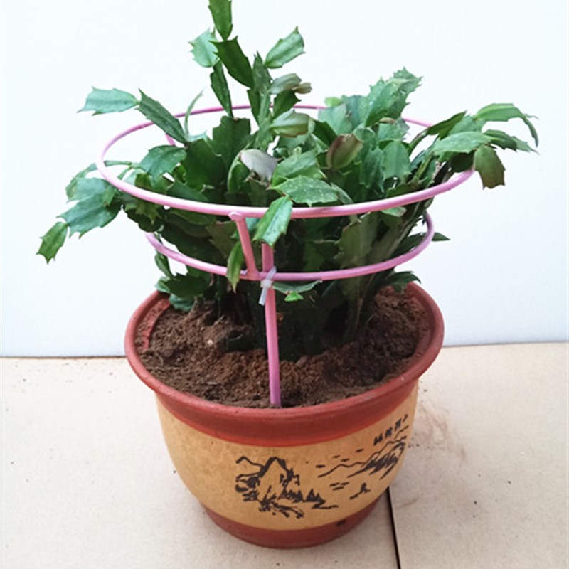 极速爬藤架子花支架绿植r花架室内花卉支撑杆月季铁线莲攀爬架简