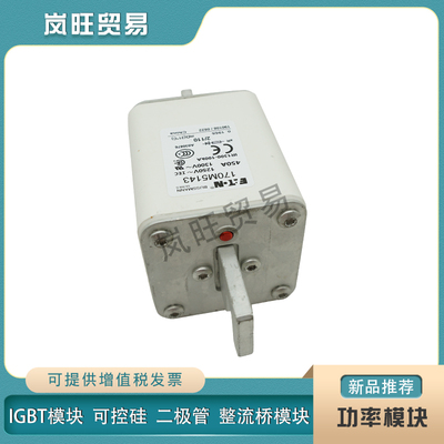 极速适用伊顿巴斯曼快速熔断器保险丝170M5142 5143 5144V 5145 5