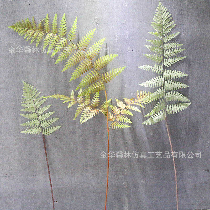极速精品凤尾草鳞毛蕨植物墙配材仿真蕨草插花装T饰羊齿蕨山蕨叶