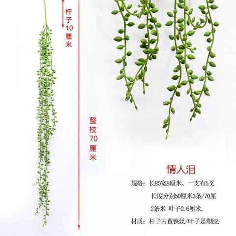 极速仿真柳条假花藤条壁挂藤蔓植物多肉情人泪P吊篮内室墙壁装饰