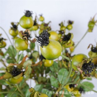 玫瑰果仿真果枝桨果野果仿真花欧式插花 样板间 家居客厅摆设花艺